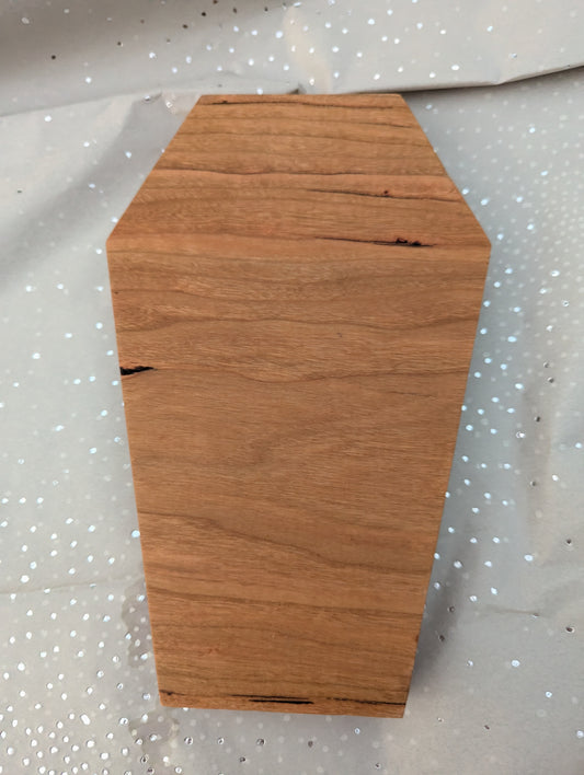 Coffin & Snake Catchall Tray